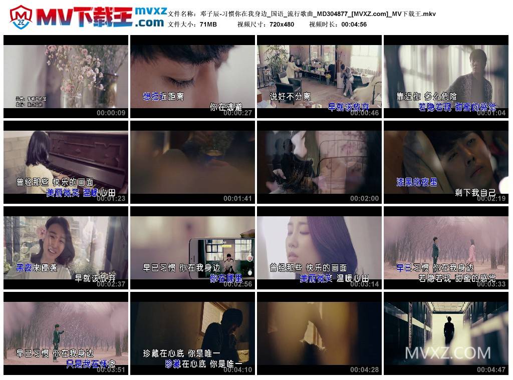 邓子辰-习惯你在我身边_国语_流行歌曲_MD304877